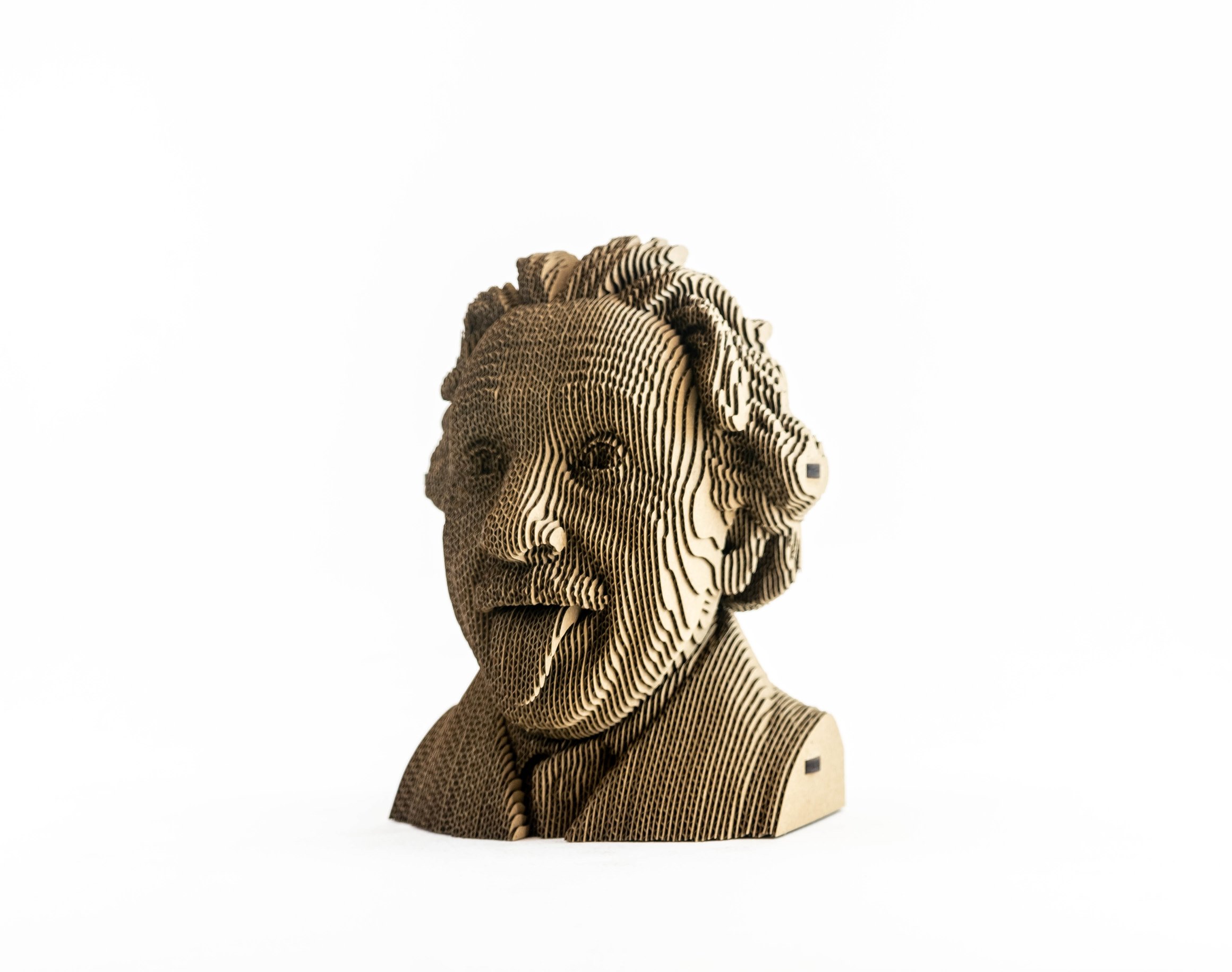 3D Пазл 5Cult Альберт Эйнштейн